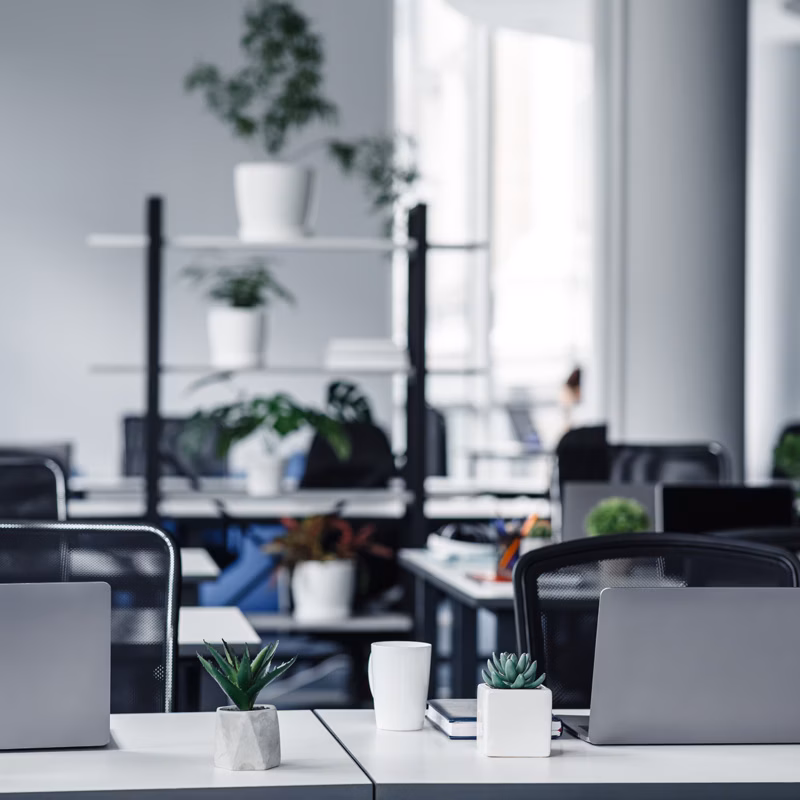 Modern office with white columns and plants